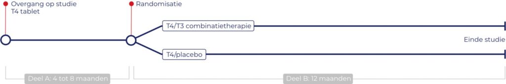 Hypotrial studieopzet visual Patient 02 1536x256 1